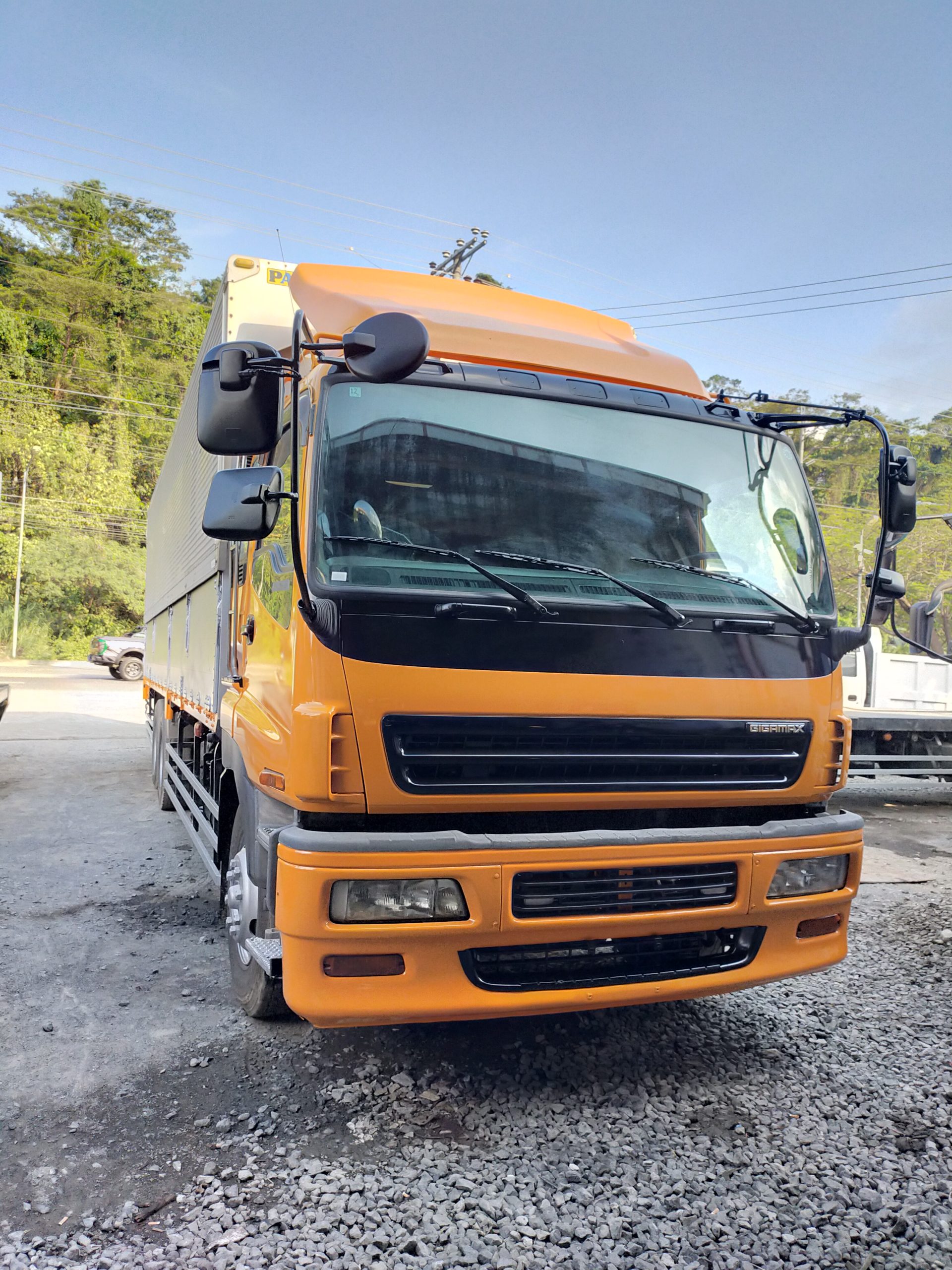 ISUZU GIGA WING VAN